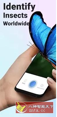 Picture Insect 昆虫识别v2.8.0高级版-网亿资源平台