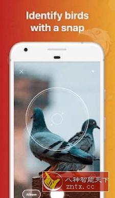 Picture Bird 鸟类识别v2.9.1 高级版-网亿资源平台