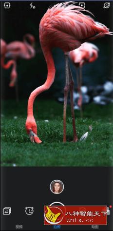 极相机 Z Camera v4.60 高级版-网亿资源平台