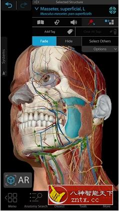 Complete 3D Human Body 3D人体解剖图谱v2023.0.09 高级版-网亿资源平台