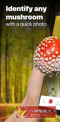 Mushroom ID 蘑菇识别v2.9.11高级版-网亿资源平台