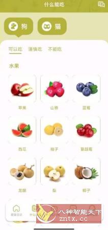 猫语狗语翻译交流器1.2.0纯净版-网亿资源平台