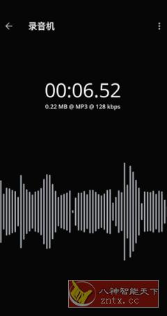 Voice Recorder Pro 录音机v11.2.0 专业版-网亿资源平台