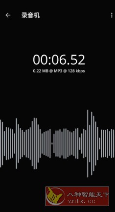 Voice Recorder Pro 录音机v11.3.1 专业版-网亿资源平台