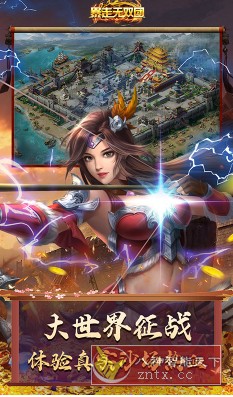 三国卡牌战斗游戏：暴走无双团v1.0解锁满级vip-网亿资源平台