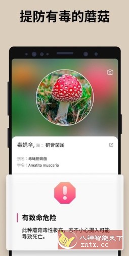 Picture Mushroom 蘑菇识别v2.9.17高级版-网亿资源平台