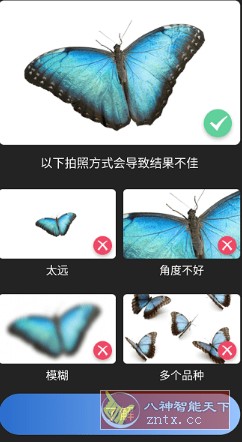 Picture Insect 昆虫识别2.8.19高级版-网亿资源平台