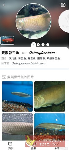 Picture Fish 拍照识鱼v2.4.18高级版-网亿资源平台