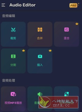 Audio Editor Pro 专业音频编辑器v1.01.49.0717高级版-网亿资源平台