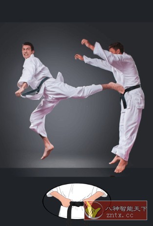 Taekwondo Workout At Home 在家学跆拳道v1.49高级版-网亿资源平台