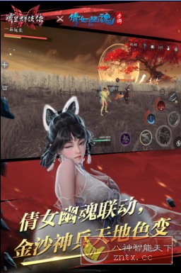 PC经典3D ARPG武侠游戏巨制移植：3D流星蝴蝶剑v1.0.496641免激活中文版（流星群侠传）-网亿资源平台