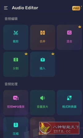 Audio Editor Pro 专业音频编辑器v1.01.50.0823.1高级版-网亿资源平台