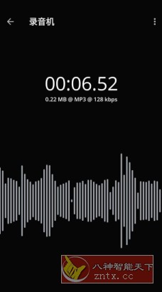 Voice Recorder Pro 录音机v11.6.2 业版-网亿资源平台
