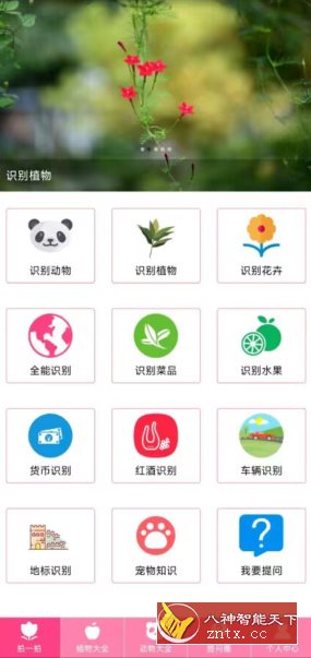 拍照识物v3.1.9高级版-网亿资源平台