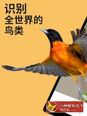 Picture Bird 拍照识鸟2.9.26高级版-网亿资源平台