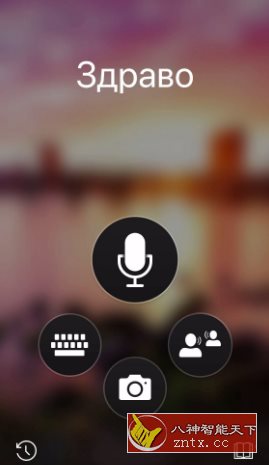 Microsoft Translator 微软翻译4.0.542-网亿资源平台