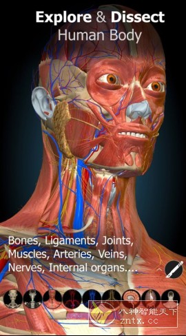 Anatomy Learning 3D解剖学v2.1.413高级版-网亿资源平台