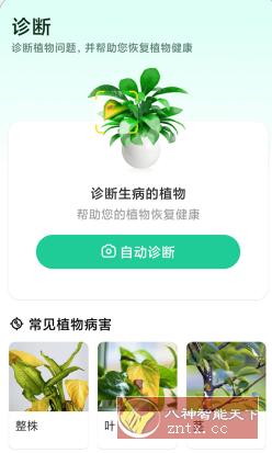 Plant Parent 植物养护v1.74高级版-网亿资源平台