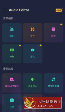 Audio Editor Pro 专业音频编辑器v1.01.57.0821高级版-网亿资源平台