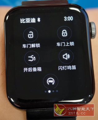 比亚迪汽车APP手表版v1.1★手表当车钥匙-网亿资源平台
