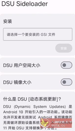 DSU Sideloader DSU侧载工具-网亿资源平台