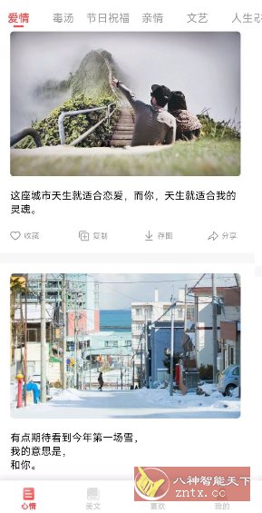 情感语录24.7.21纯净版-网亿资源平台