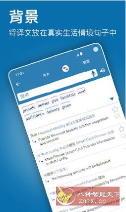 Reverso翻译和学* v14.2.4高级版-网亿资源平台