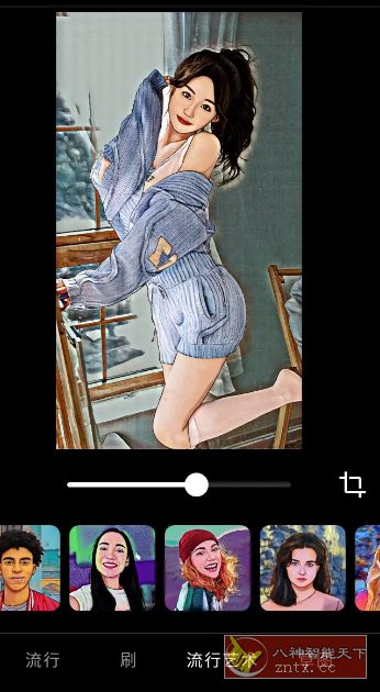 ToonApp 卡通照片编辑 v2.9.8高级版-网亿资源平台