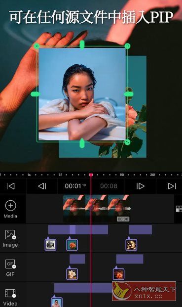 VLLO视频编辑器 v12.3.2高级版-网亿资源平台