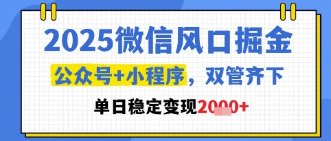 2025微信风口掘金，公众号+小程序双管齐下，单日稳定变现1k+【揭秘】-网亿资源平台