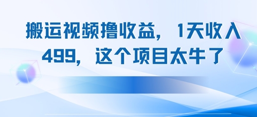 搬运抖音中视频撸收益，1天收入多张，这个项目太牛了-网亿资源平台