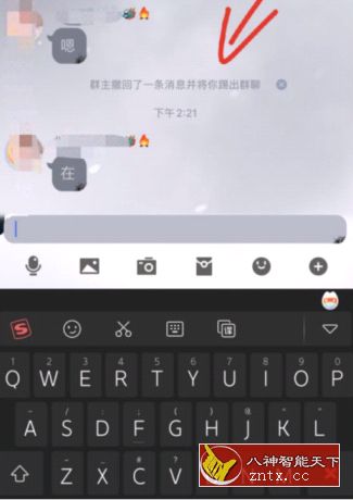 QQ恶搞撤回V1.0免费专业版-网亿资源平台
