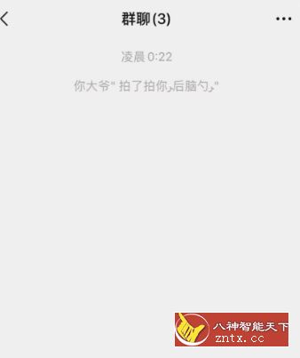 拍一拍生成器v1.1.6免费版★群拍一拍特殊效果-网亿资源平台