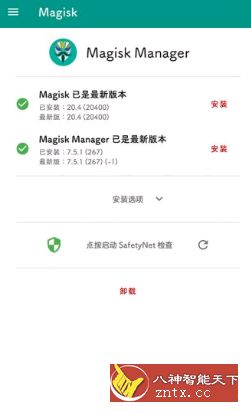 Magisk 面具ROOT神器v21.0稳定版+Magisk Manager v8.0-网亿资源平台