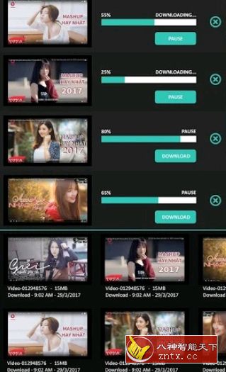 全部视频下载器v4.0.2专业版／纯净版--kirlif免费-网亿资源平台