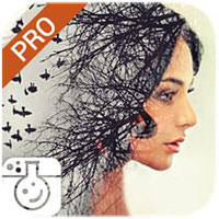 Photo Lab Pro 趣味照片编辑器v3.9.1高级专业版-网亿资源平台