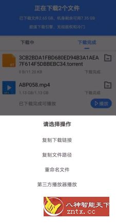 【大明最新作品】香肠下载V1.0专业版★拒绝无速度-网亿资源平台