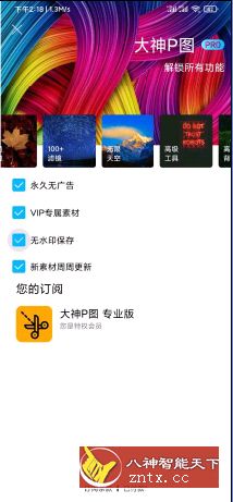 大神P图v4.5.1.1专业版／谷歌版-网亿资源平台