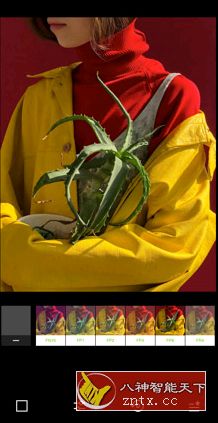 VSCO Cam 全滤镜v202 专业版-网亿资源平台