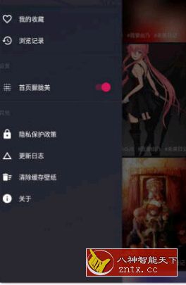 次元壁纸 v2.4.3 高级版-网亿资源平台