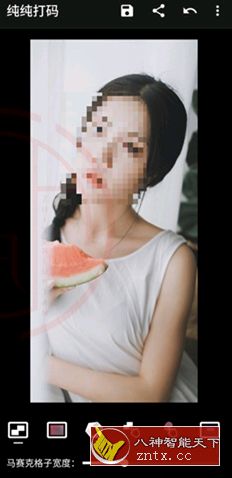 纯纯打码v2.31高级版-网亿资源平台