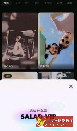 沙拉-网亿资源平台