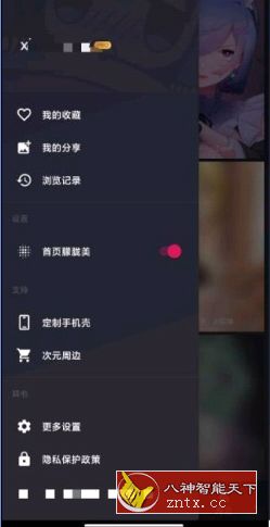 次元壁纸2.5.1高级版-网亿资源平台
