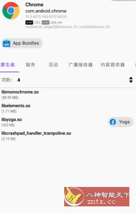 Chrome 谷歌浏览器v99.0.4844.73-网亿资源平台