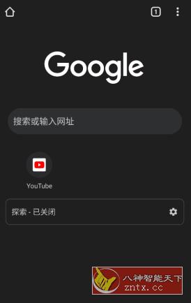 Chrome 谷歌浏览器v100.0.4896.127-网亿资源平台
