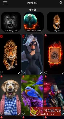 Pixel 4D 动态壁纸3.1.3高级版-网亿资源平台