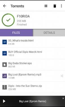 BitTorrent Pro 种子下载器v6.8.6高级版-网亿资源平台