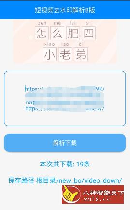 布偶-短视频批量解析v1.0B-网亿资源平台