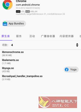 谷歌浏览器 Google Chrome v106.0.5249.126正式版-网亿资源平台