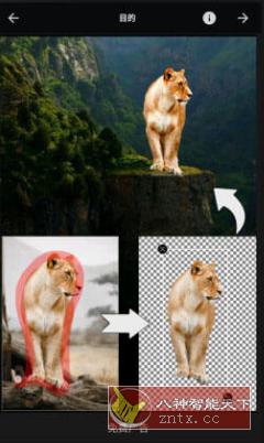 LightX相片编辑器 v2.1.8高级版-网亿资源平台